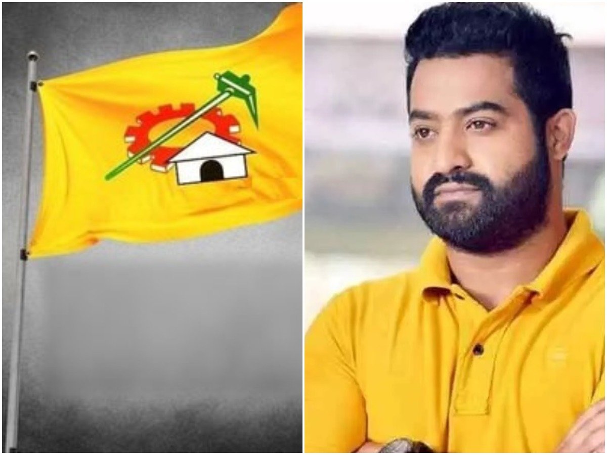 Warning to TDP leaders .. NTR fans dharna in the heap – 2Telugustates